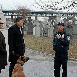 Foto Vigilados: Person of Interest