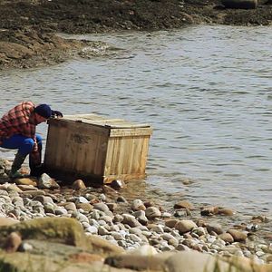 Foto Attack of the Herbals