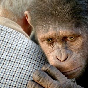 Foto El origen del planeta de los simios