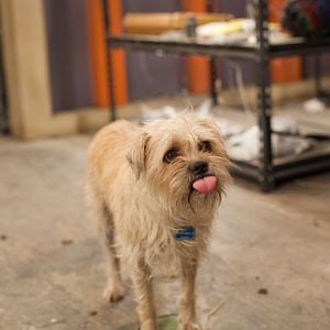 Foto Spy Kids. Todo el tiempo del mundo