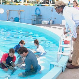 Foto La gran aventura de Winter el delfín