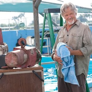 Foto La gran aventura de Winter el delfín