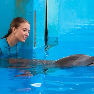 Foto La gran aventura de Winter el delfín