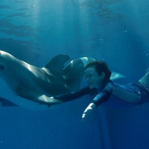 Foto La gran aventura de Winter el delfín