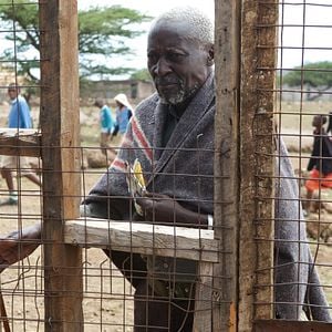 Foto The First Grader