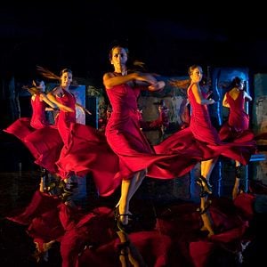 Foto Flamenco, Flamenco