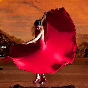 Foto Flamenco, Flamenco