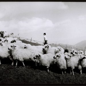 Foto Dem Himmel ganz nah