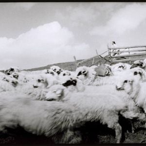 Foto Dem Himmel ganz nah