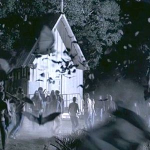 Foto Fading of the Cries