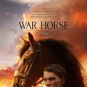Foto War Horse (Caballo de batalla)