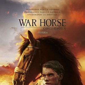 Foto War Horse (Caballo de batalla)