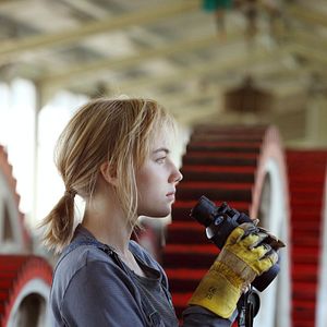 Foto Fliegende Fische müssen ins Meer