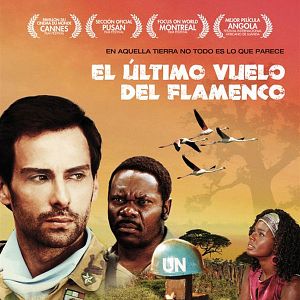 Foto El último vuelo del flamenco