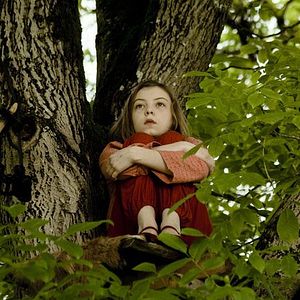 Foto Sommer in Orange