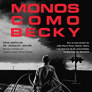 Foto Monos como Becky