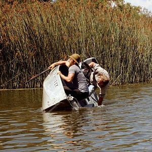 Foto Mega Python vs. Gatoroid