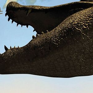 Foto Mega Python vs. Gatoroid