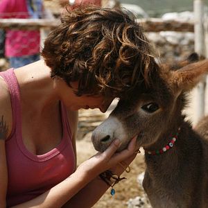 Foto Entelköy Efeköy'e Karşı
