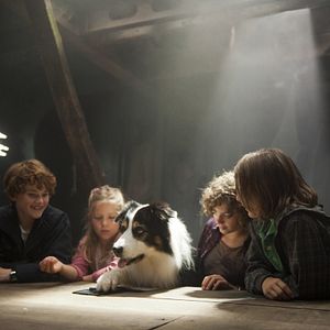 Foto Valeria Eisenbart