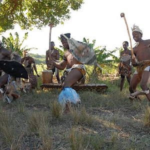 Foto El último vuelo del flamenco