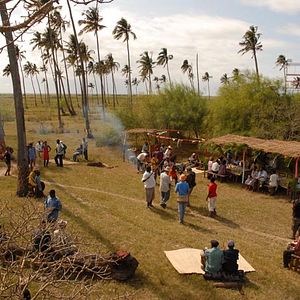 Foto El último vuelo del flamenco
