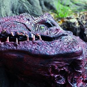 Foto Aventura al centro de la Tierra