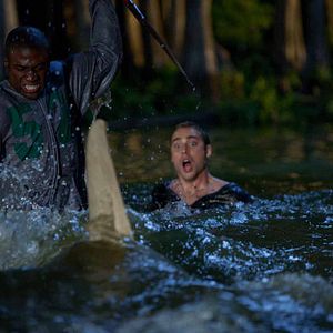 Foto Tiburón 3D. La presa