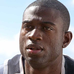 Foto Tiburón 3D. La presa