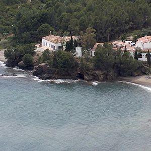 Foto El Bulli: Cooking in Progress