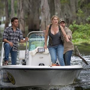 Foto El tiburón del pantano