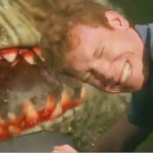 Foto El tiburón del pantano