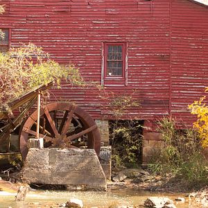 Foto La extraña vida de Timothy Green