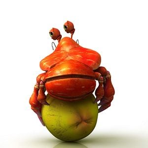 Foto Un pez fuera del mar