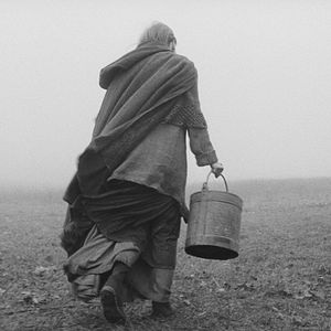 Foto The Turin horse