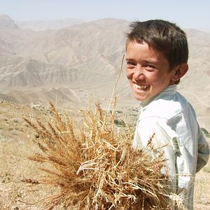 Foto The Boy Mir - Ten Years In Afghanistan