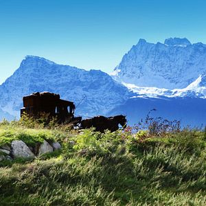 Foto Sommer der Gaukler