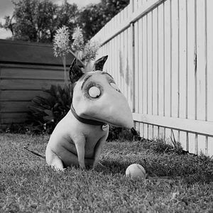 Foto Frankenweenie