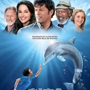 Foto La gran aventura de Winter el delfín