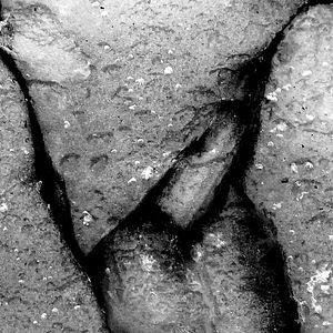 Foto Qu'ils reposent en révolte