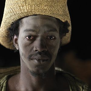 Foto Los Pasos Dobles