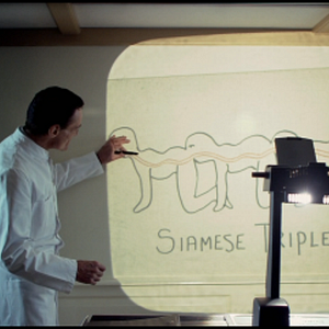 Foto El ciempiés humano