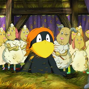 Foto Cuervito calcetín: La gran carrera