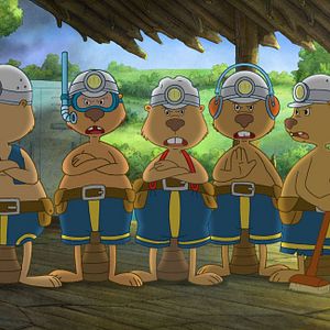 Foto Cuervito calcetín: La gran carrera