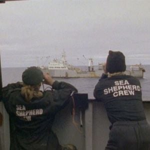 Foto Confessions of an Eco-Terrorist