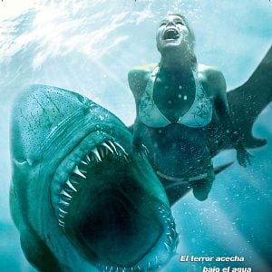 Foto Tiburón 3D. La presa