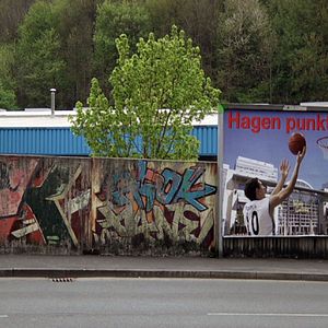 Foto Phoenix in der Asche