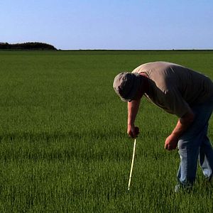 Foto La Pluie et le beau temps