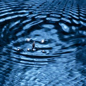 Foto Claude Nuridsany