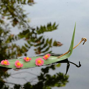 Foto Claude Nuridsany